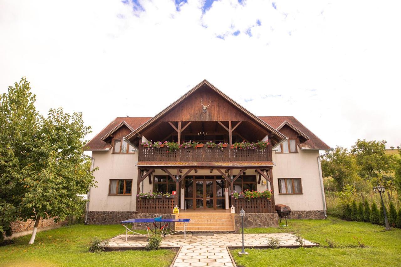 Pensiunea Sachsenhof Bagaciu Exterior photo