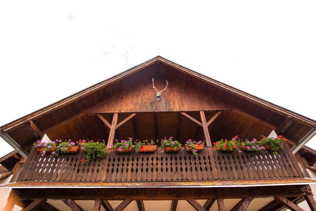 Pensiunea Sachsenhof Bagaciu Exterior photo