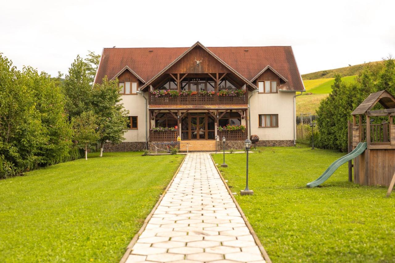 Pensiunea Sachsenhof Bagaciu Exterior photo